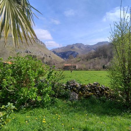 Amplia Y Comoda Casa De Piedra Con Porche Y Jardin San Roque de Riomiera Екстер'єр фото