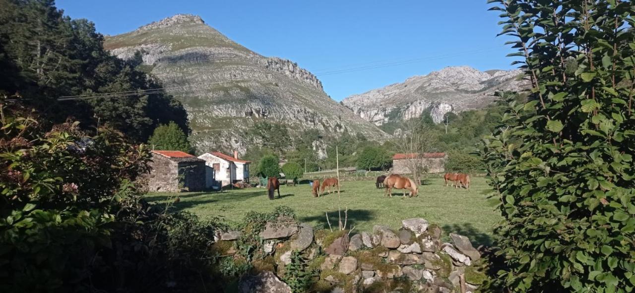Amplia Y Comoda Casa De Piedra Con Porche Y Jardin San Roque de Riomiera Екстер'єр фото